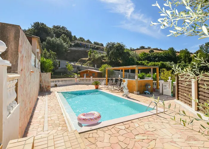 Apartment Pet Friendly In *