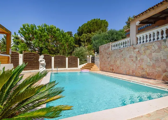 Pet Friendly In Apartment Bastelicaccia